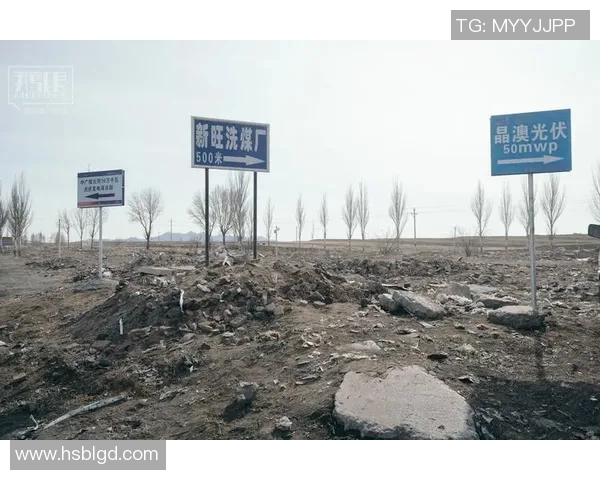 深圳攀岩队的转型之路与挑战分析及未来发展展望