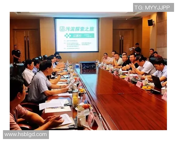 深度探讨王军在英雄联盟中的成长与挑战之路