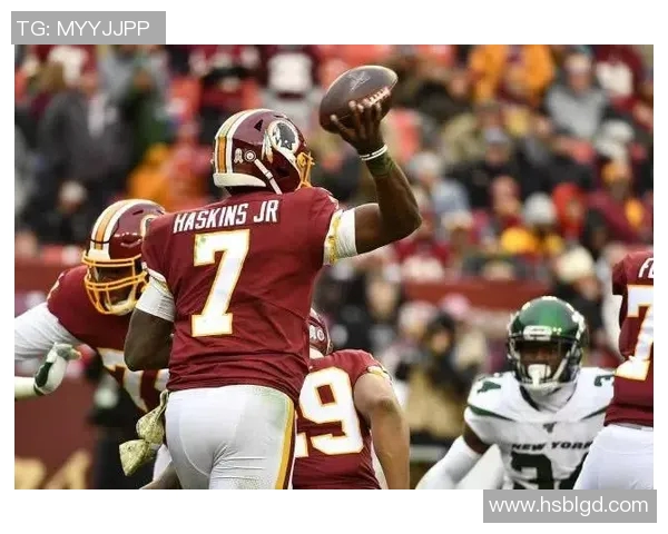 华盛顿神秘人揭开阳光背后的秘密与真相之争