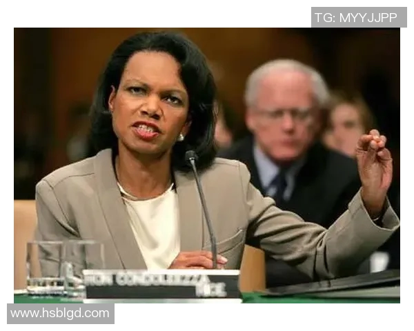 赖斯的外交策略与全球影响力分析及其对未来国际关系的启示 赖斯的外交策略与全球影响力分析及其对未来国际关系的启示